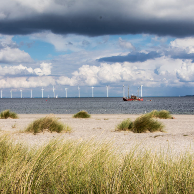 Windmills from the beach of Amager