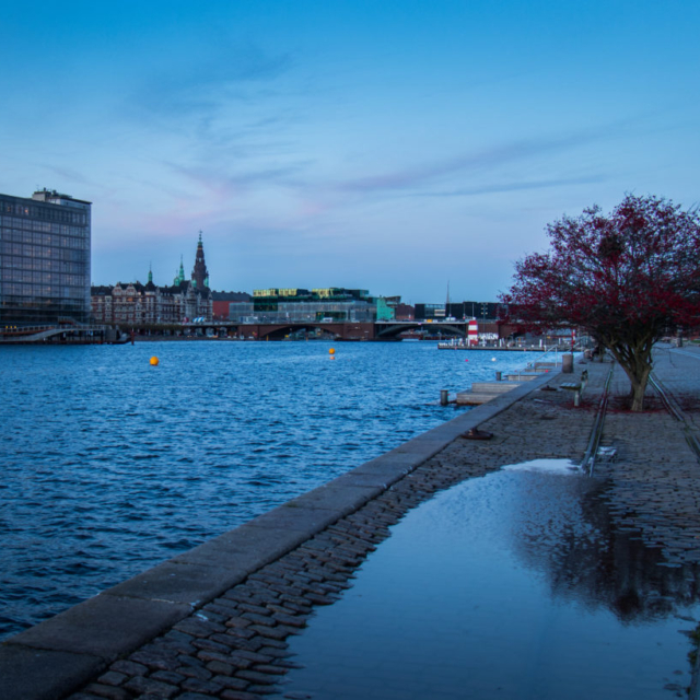 Reflections from Amager part 2
